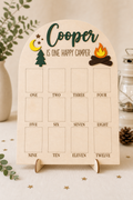 One Happy Camper Milestone Birthday Photo Board